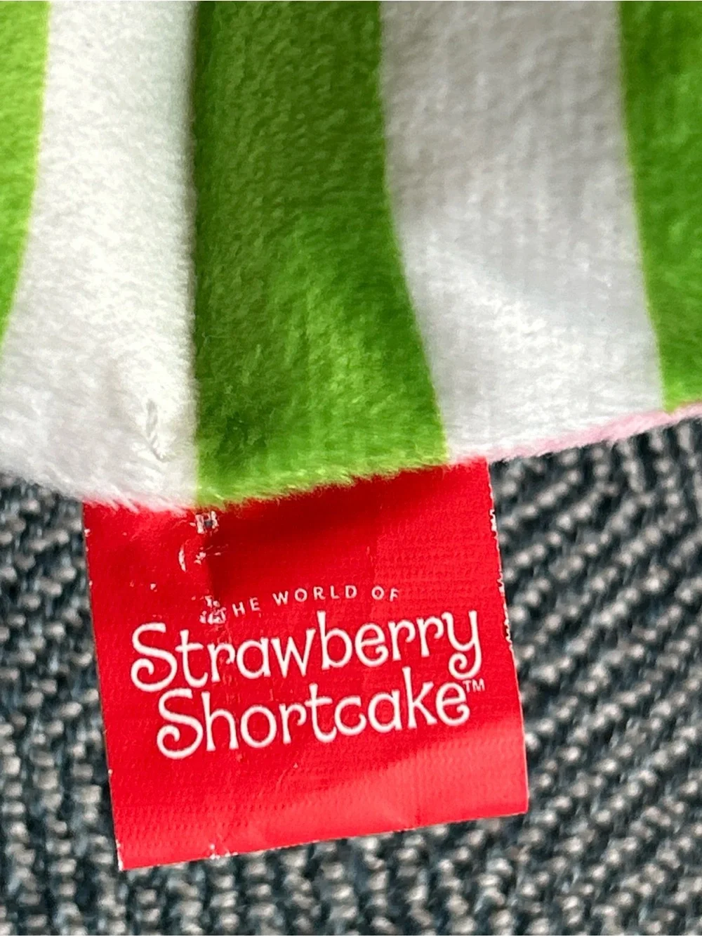 Strawberry Shortcake Dog Toy- NWT